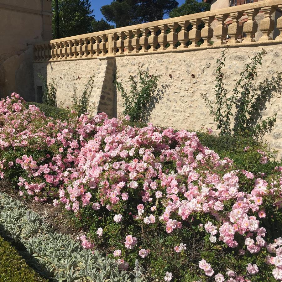 فندق Le Pavillon D'Arnajon Le Puy-Sainte-Réparade المظهر الخارجي الصورة